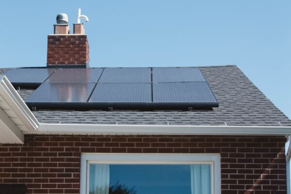 PEST CONTROL HATFIELD, Hertfordshire. Services: Solar Panel Bird Proofing. Protect Your Solar Panels from Avian Intruders with Local Pest Control Ltd's Expert Bird Proofing Services in Hatfield